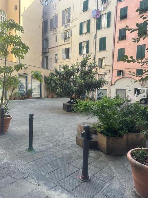 La Casa Del Vico Apartment *